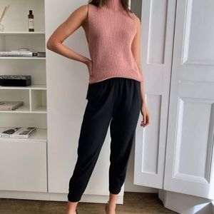 Aritzia Dexter Pant XS